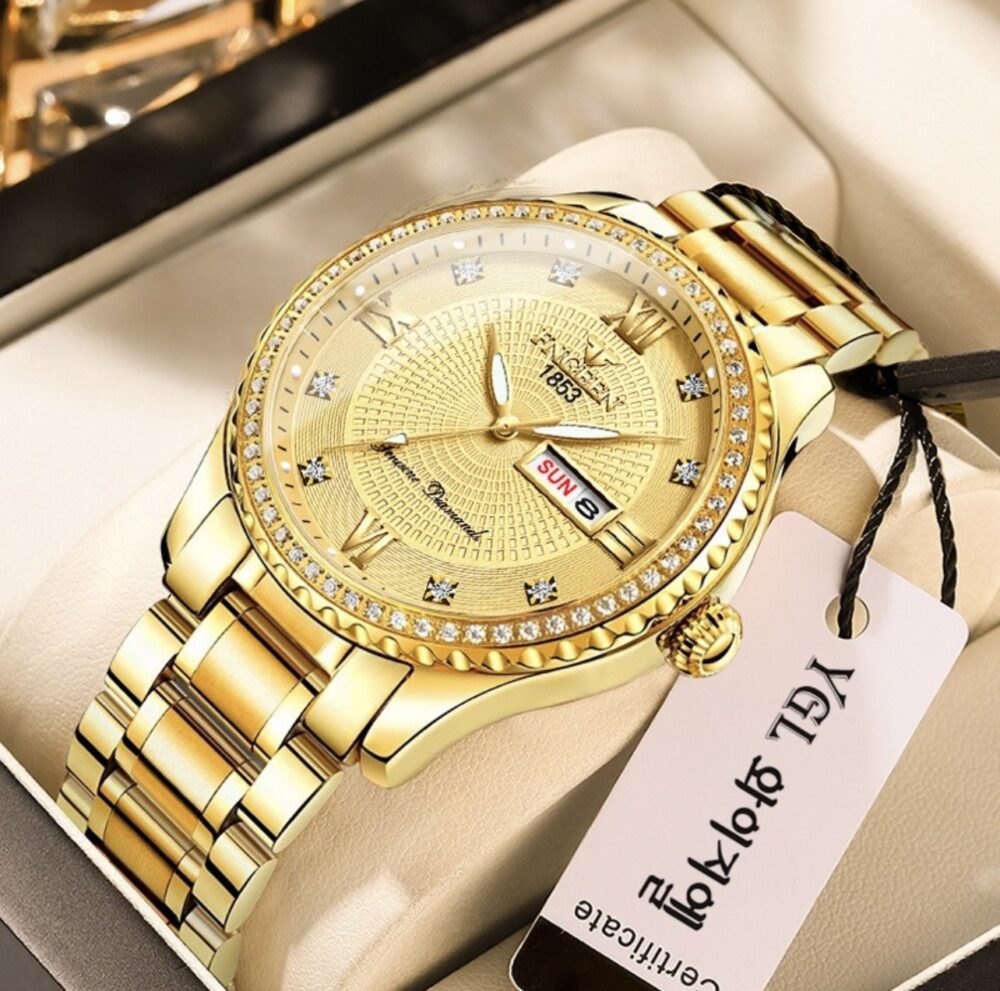 Automatic Watches for Men Waterproof Luxury Dress Self Winding Mechanical Stainless Steel Luminous Diamond Tow Tone Men's Wrist Watches Gift