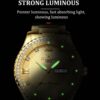 Automatic Watches for Men Waterproof Luxury Dress Self Winding Mechanical Stainless Steel Luminous Diamond Tow Tone Men's Wrist Watches Gift - Image 5